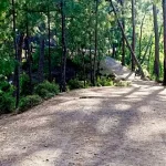 Shilli Wildlife Sanctuary Places to visit in Solan, Himachal Pradesh