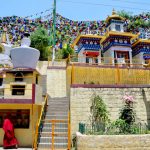 Namgyalma Stupa Travel Guide and Tourism in Dharamshala, Himachal Pradesh