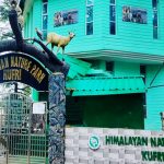Himalayan Nature Park (Kufri Zoo) Tourism in Kufri, Himachal Pradesh